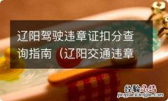 辽阳交通违章查询 辽阳驾驶违章证扣分查询指南