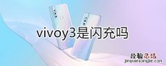 vivoy3是闪充吗