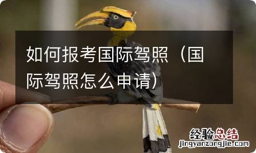 国际驾照怎么申请 如何报考国际驾照