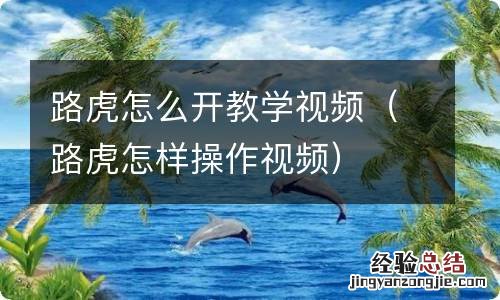 路虎怎样操作视频 路虎怎么开教学视频