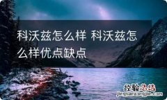 科沃兹怎么样 科沃兹怎么样优点缺点