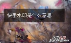 快手水印是什么意思