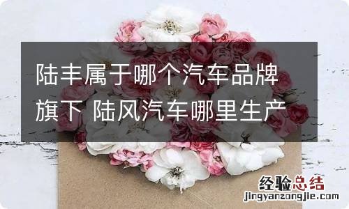 陆丰属于哪个汽车品牌旗下 陆风汽车哪里生产的