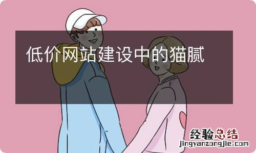 低价网站建设中的猫腻