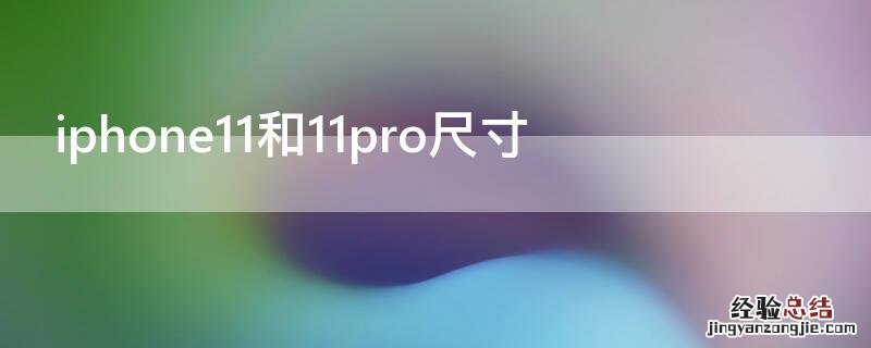 iPhone11和11pro尺寸 苹果11pro和11的尺寸区别