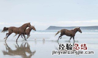 2002年属马的是什么命五行属什么 2002年属马的是什么命