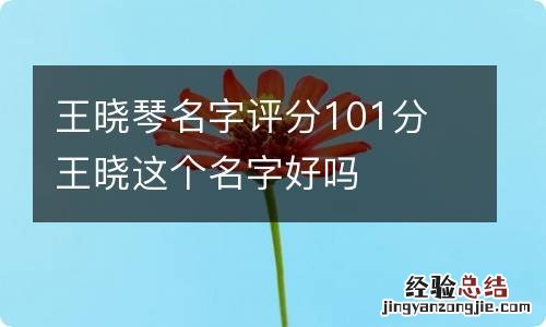 王晓琴名字评分101分 王晓这个名字好吗