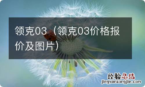 领克03价格报价及图片 领克03