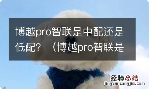 博越pro智联是什么配置 博越pro智联是中配还是低配？