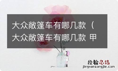 大众敞篷车有哪几款 甲壳虫 大众敞篷车有哪几款