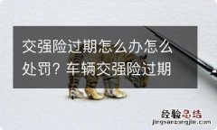 交强险过期怎么办怎么处罚? 车辆交强险过期了怎么处罚