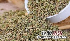 茴香籽是孜然吗 茴香籽是孜然吗图片