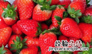 草莓怎么种植方法 在家 草莓怎么种植