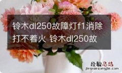 铃木dl250故障灯f1消除打不着火 铃木dl250故障灯怎么消除