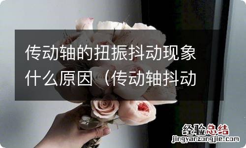 传动轴抖动故障的现象 传动轴的扭振抖动现象什么原因