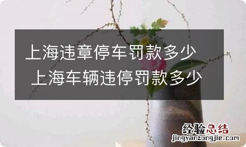 上海违章停车罚款多少 上海车辆违停罚款多少