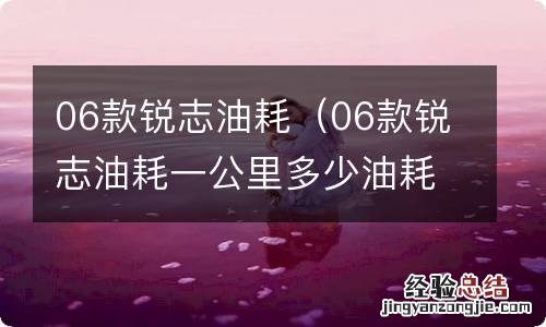 06款锐志油耗一公里多少油耗 06款锐志油耗