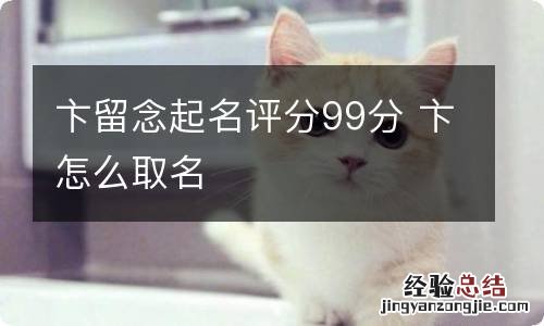 卞留念起名评分99分 卞怎么取名