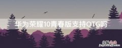 华为荣耀10青春版可以插u盘吗 华为荣耀10青春版支持OTG吗