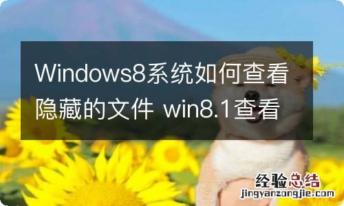 Windows8系统如何查看隐藏的文件 win8.1查看隐藏文件夹