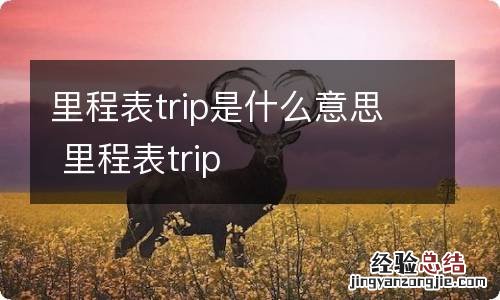 里程表trip是什么意思 里程表trip