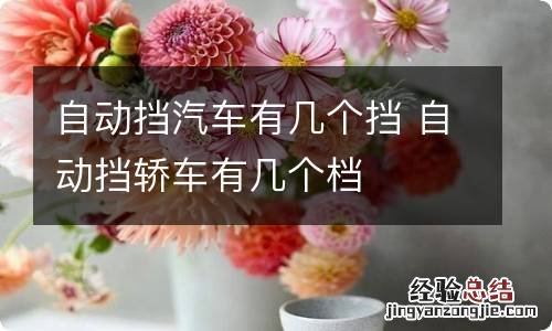 自动挡汽车有几个挡 自动挡轿车有几个档