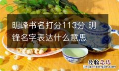 明峰书名打分113分 明锋名字表达什么意思