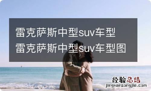 雷克萨斯中型suv车型 雷克萨斯中型suv车型图片