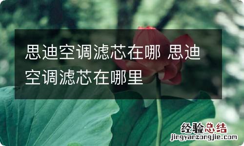 思迪空调滤芯在哪 思迪空调滤芯在哪里