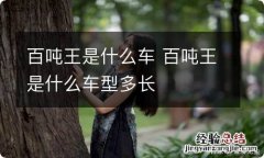 百吨王是什么车 百吨王是什么车型多长