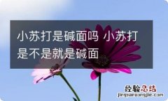 小苏打是碱面吗 小苏打是不是就是碱面