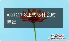 ios12.1.3正式版什么时候出