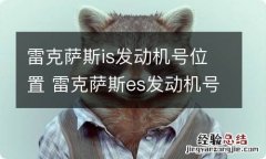 雷克萨斯is发动机号位置 雷克萨斯es发动机号在哪个位置