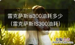 雷克萨斯IS300油耗 雷克萨斯is300油耗多少