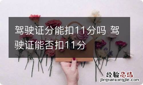 驾驶证分能扣11分吗 驾驶证能否扣11分