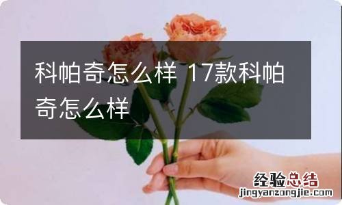 科帕奇怎么样 17款科帕奇怎么样