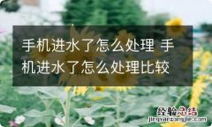 手机进水了怎么处理 手机进水了怎么处理比较好苹果