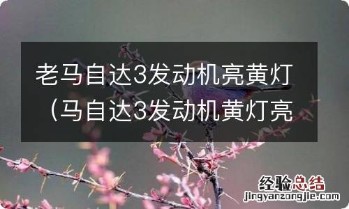 马自达3发动机黄灯亮了是什么原因 老马自达3发动机亮黄灯