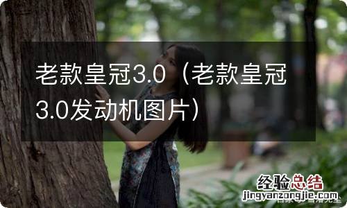 老款皇冠3.0发动机图片 老款皇冠3.0