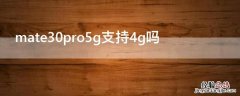 mate30pro5g支持4g吗 mate30pro5g和4g区别如何选