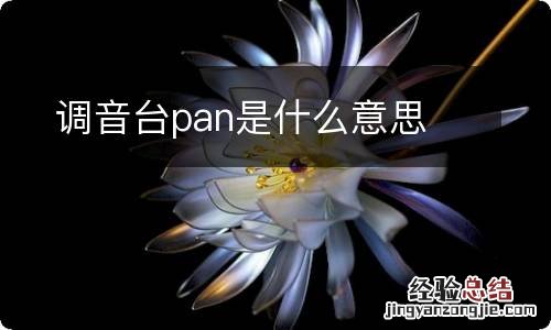 调音台pan是什么意思