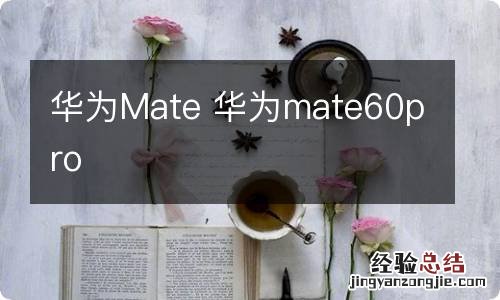 华为Mate 华为mate60pro