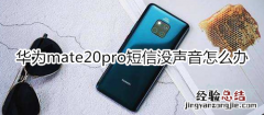 华为mate20pro短信没声音怎么办