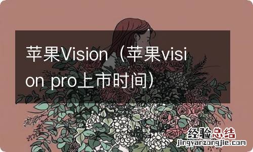 苹果vision pro上市时间 苹果Vision