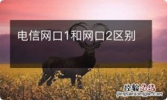 电信网口1和网口2区别