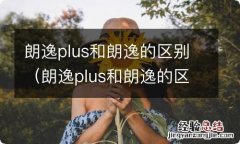 朗逸plus和朗逸的区别评价 朗逸plus和朗逸的区别