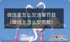 微信上怎么交罚款 微信里怎么交违章罚款