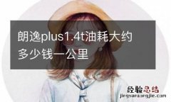 朗逸plus1.4t油耗大约多少钱一公里