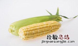 玉米可以放冰箱吗 温热的玉米可以放冰箱吗