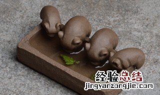 茶宠是什么 茶宠是什么,茶宠有什么作用